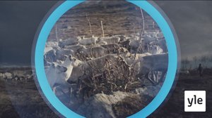 Oddasat: 24.02.2022 22.00