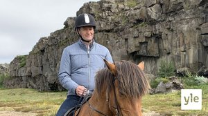 Mädäntynyttä haita: 01.03.2022 00.01