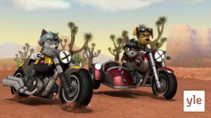 Vauhtipennut: Pennut kohtaavat Koviskoplan (S): 05.03.2022 10.00