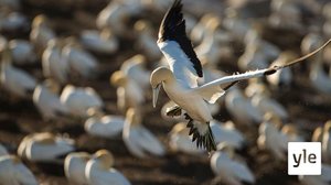 Atlantin rannikko: 07.03.2022 06.00