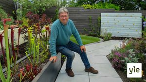 Perhepuutarhat: 07.03.2022 06.00