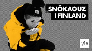 Hur skit är snöröjningen för klimatet?: 09.03.2022 06.00