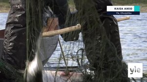 Yle Oddasat 11.3.2022: 11.03.2022 16.45