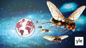 Ekspansio (S): 12.03.2022 00.01