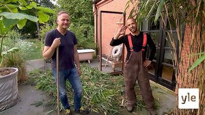 Palmuja, kukkia ja lomatunnelmaa: 13.03.2022 06.00