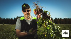 Rakas lehmänpaska: 14.03.2022 06.00