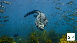 Galapagos: 14.03.2022 06.00