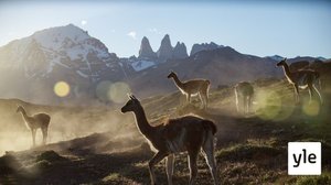 Patagonia: 14.03.2022 06.00