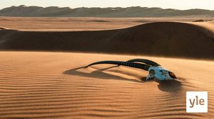 Namibia: 14.03.2022 06.00