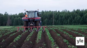 Rakas lehmänpaska: 14.03.2022 06.00