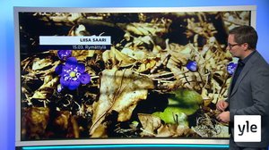 Sääennuste klo 18: 15.03.2022 18.30