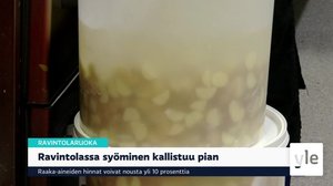 Yle Uutiset Keski-Suomi ja Etelä-Savo 25.3.2022: 25.03.2022 17.06