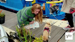 Sshih tzun ja mopsin sekoitus Miska: 28.03.2022 00.01