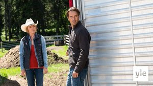 Villi sydän (S): 28.03.2022 06.00