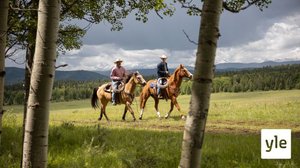Satuja (S): 28.03.2022 06.00