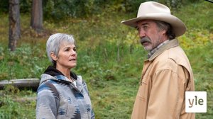 Kasvun paikka (7): 28.03.2022 06.00