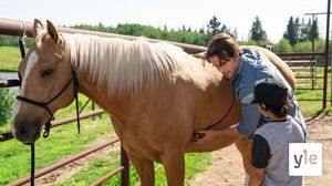 Mielenmuutos (S): 28.03.2022 06.00