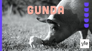 Gunda (7): 28.03.2022 06.00