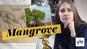 Ahdistaako ilmastonmuutos? Katso tämä!: 30.03.2022 15.00