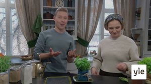 Varaslähtö viljelykauteen: 02.04.2022 00.01