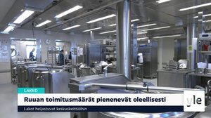 Yle Uutiset Pohjois-Suomi 5.4.2022: 05.04.2022 17.06