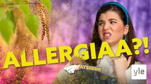 Jopa miljoona suomalaista kärsii siitepölyallergiasta: 06.04.2022 09.21