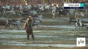 Yle Oddasat 6.4.2022: 06.04.2022 16.45