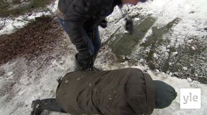 Juhat luonnossa: Loukkaantuneet eläimet: 08.04.2022 11.00