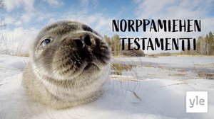 Norppamiehen testamentti: 11.04.2022 00.01