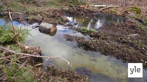 Suru: 11.04.2022 00.01