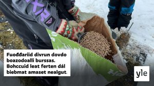 Fuođđarat eai leat goassige ovdal máksán nu olu go dál: 12.04.2022 05.30