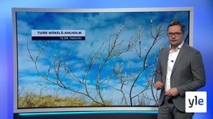 Sääennuste klo 18: 12.04.2022 18.28