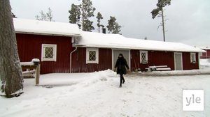 Bertta Timmerbacka panostaa kouluratsastusunelmaansa: 14.04.2022 00.01