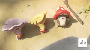 Salamakaarna (S): 21.04.2022 17.40