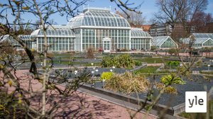 Tältä näyttää kevät Helsingissä ja Inarissa: 22.04.2022 13.20