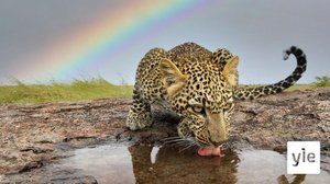 Valta: 25.04.2022 06.00