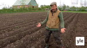 Kalkkia ja perunoita: 27.04.2022 06.00