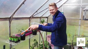 Iloa puutarhasta: 13.09.2019 09.00