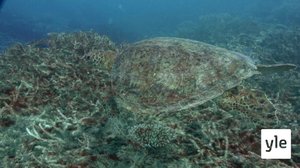 Luontomatkalla: 14.09.2019 07.05