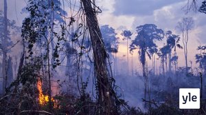 YK:n jäsenmailta puuttuu kestävän kehityksen tiekartta: 12.09.2019 10.57