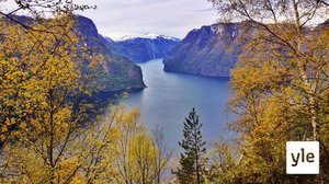 Avara luonto: Elämää Norjan vuonoissa: 16.09.2019 06.00