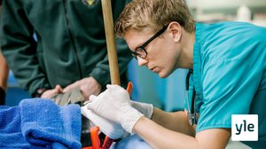 Uusi vuokralainen (12): 17.09.2019 06.00