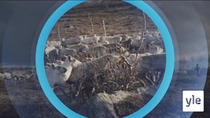 Oddasat: 13.09.2019 22.00