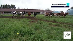 Yle Uutiset selkosuomeksi : 16.09.2019 15.10