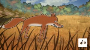 Kettu (S): 17.09.2019 18.00