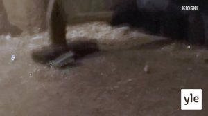 Suomen paras Fortnite -pelaaja vihahuoneessa | BELAEU: 18.09.2019 15.00