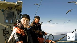 Kari Tapio - myrskyjen jälkeen: 24.09.2019 12.00