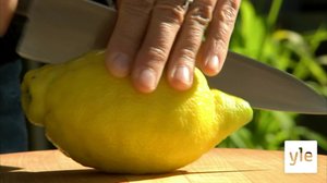 Tee itse hiuskiinnettä: 25.09.2019 00.01