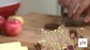 Edullinen ja herkullinen punajuuri: 25.09.2019 00.01