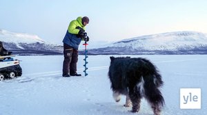 Odottavan aika on pitkä: 29.09.2019 00.01